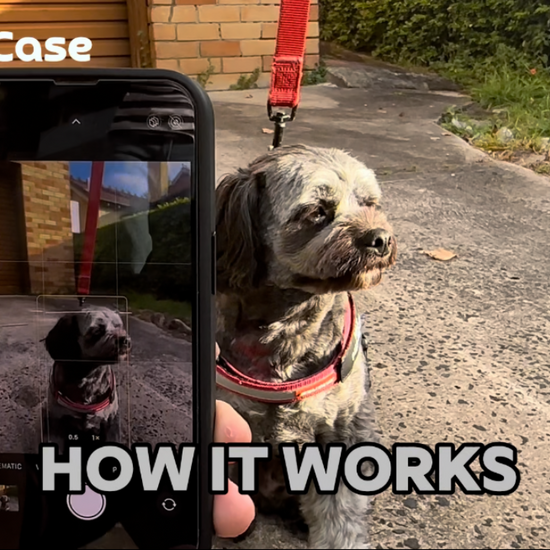 How It Works Video